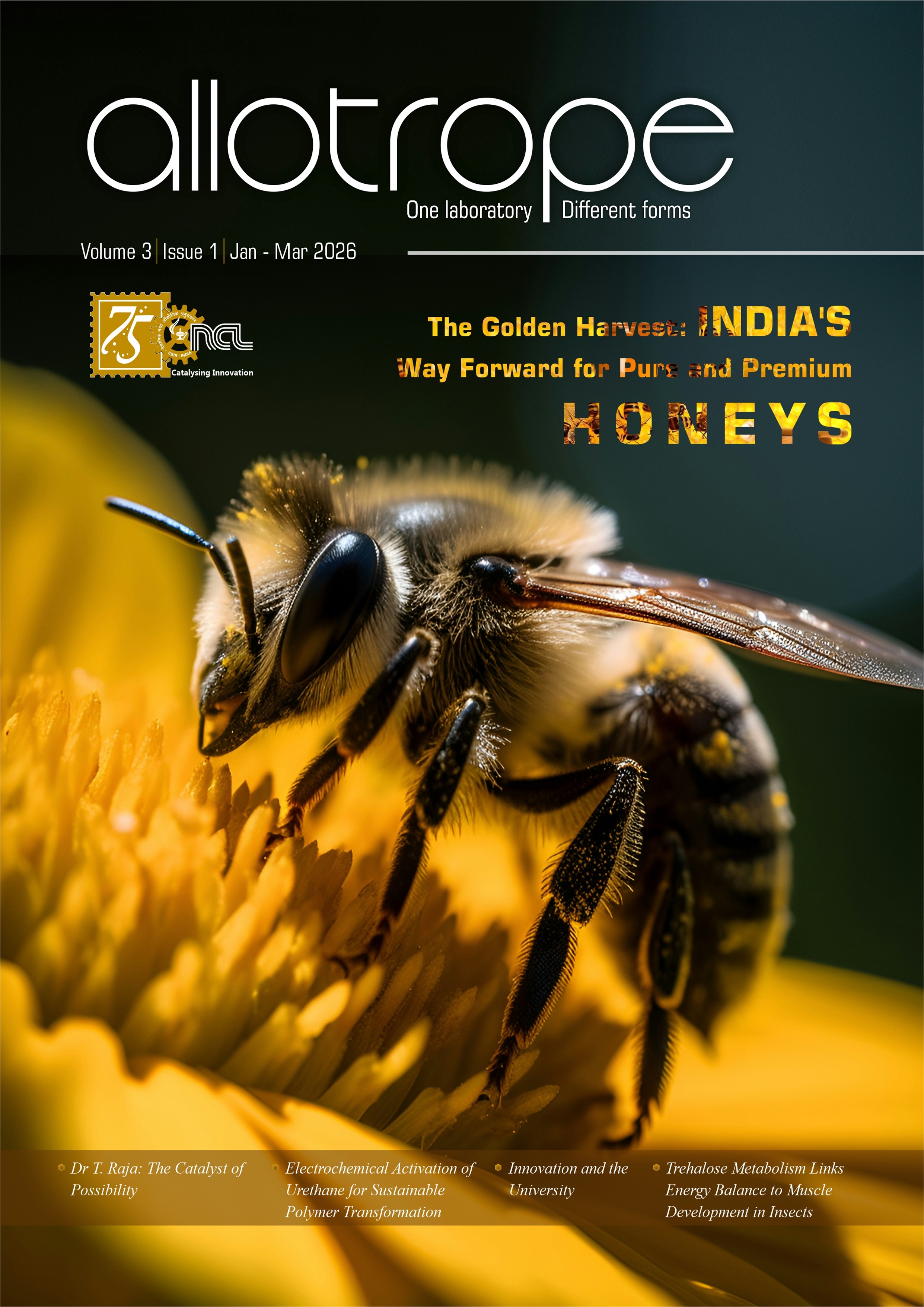 Blog Post Image